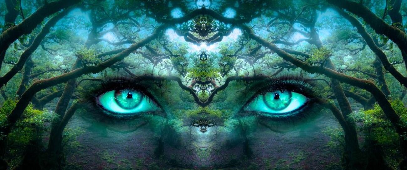 Watchful Eyes