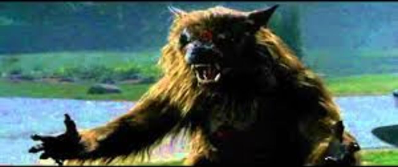 Nature of the beast
