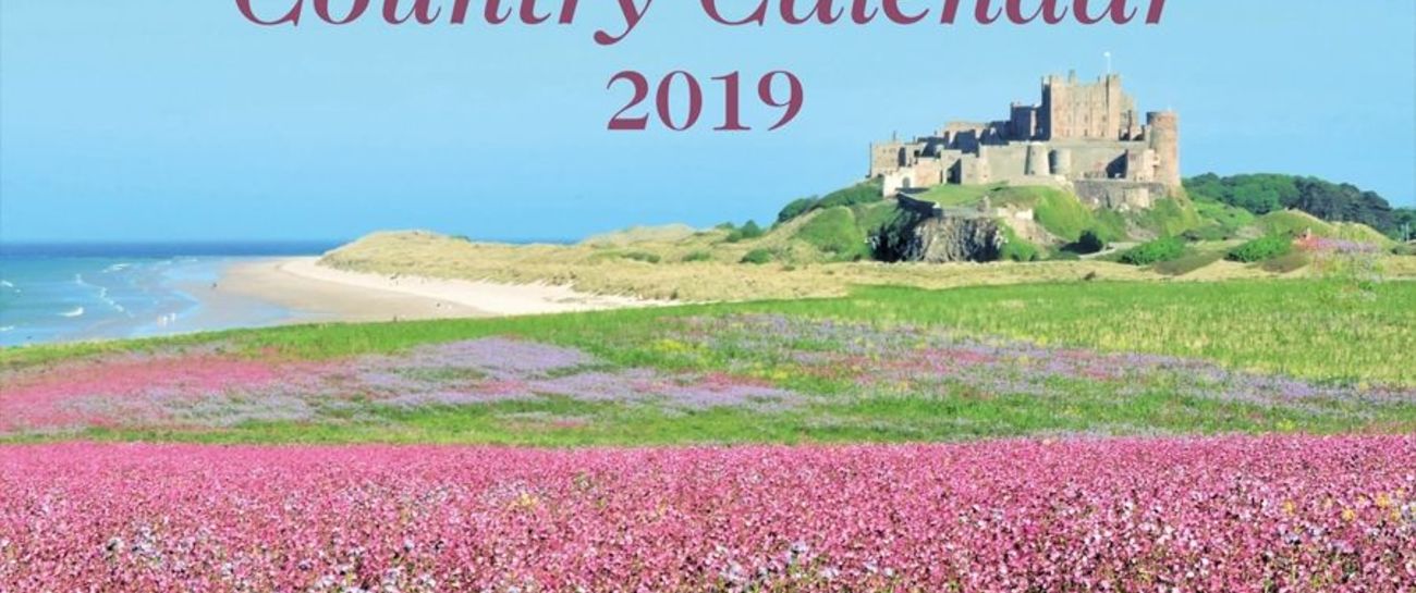 A Calendar year❤️