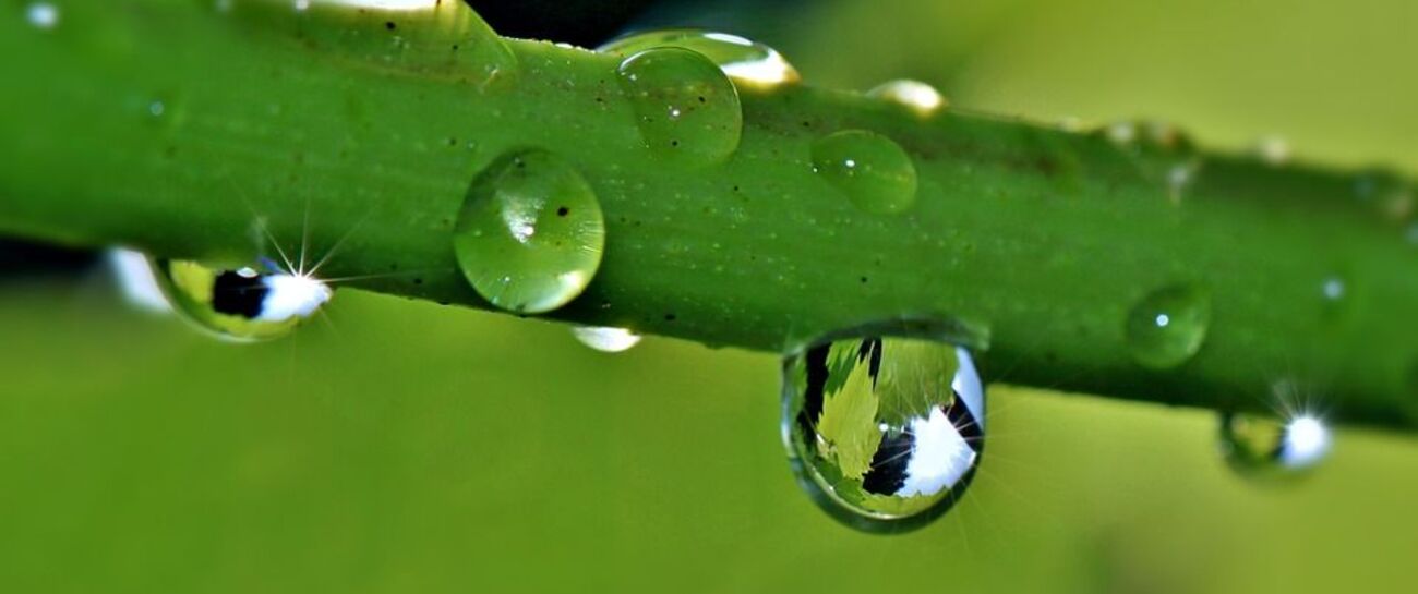Philosophy of a Raindrop