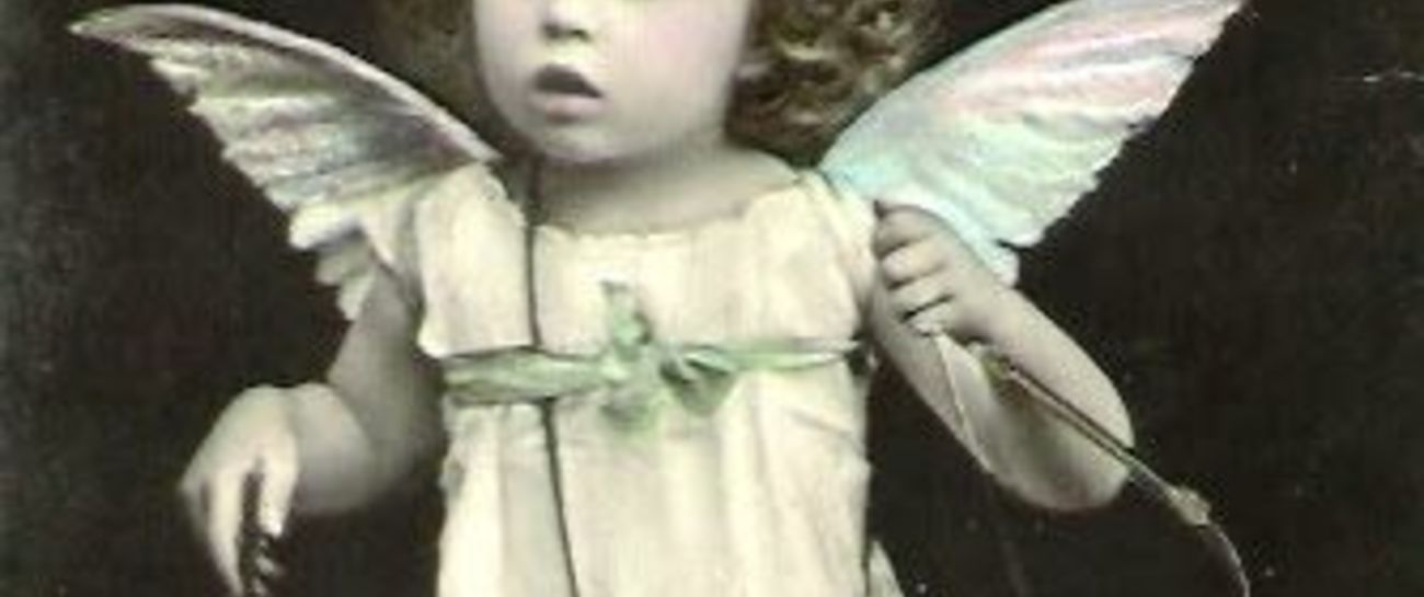 Cupid Thorn