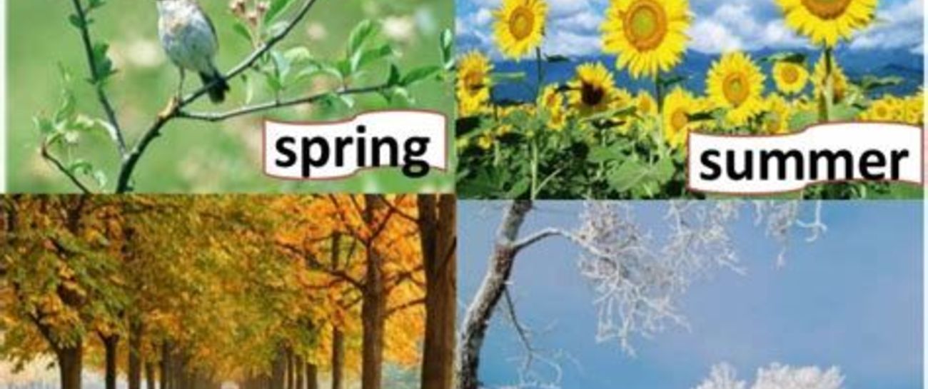 Seasons