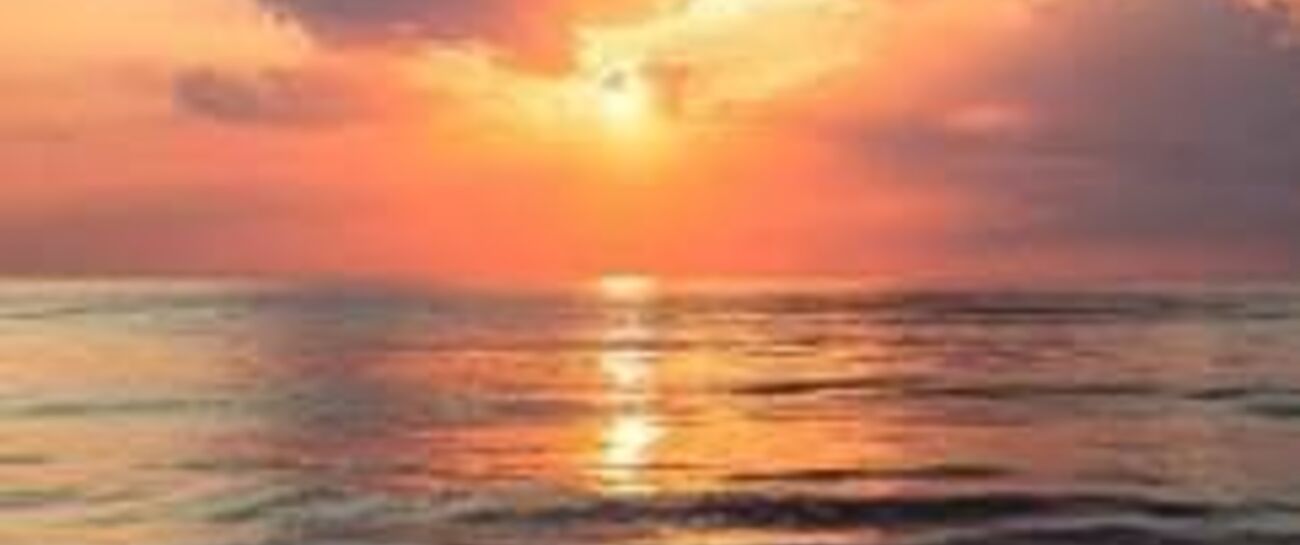 Under the sea of the rising sun