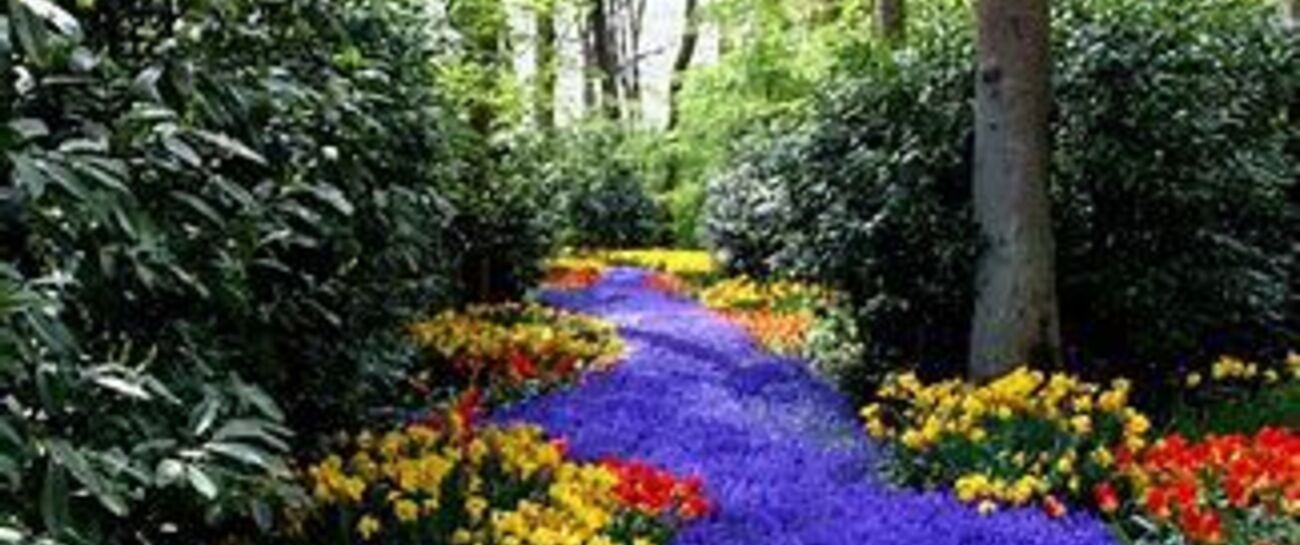 Joys of Spring