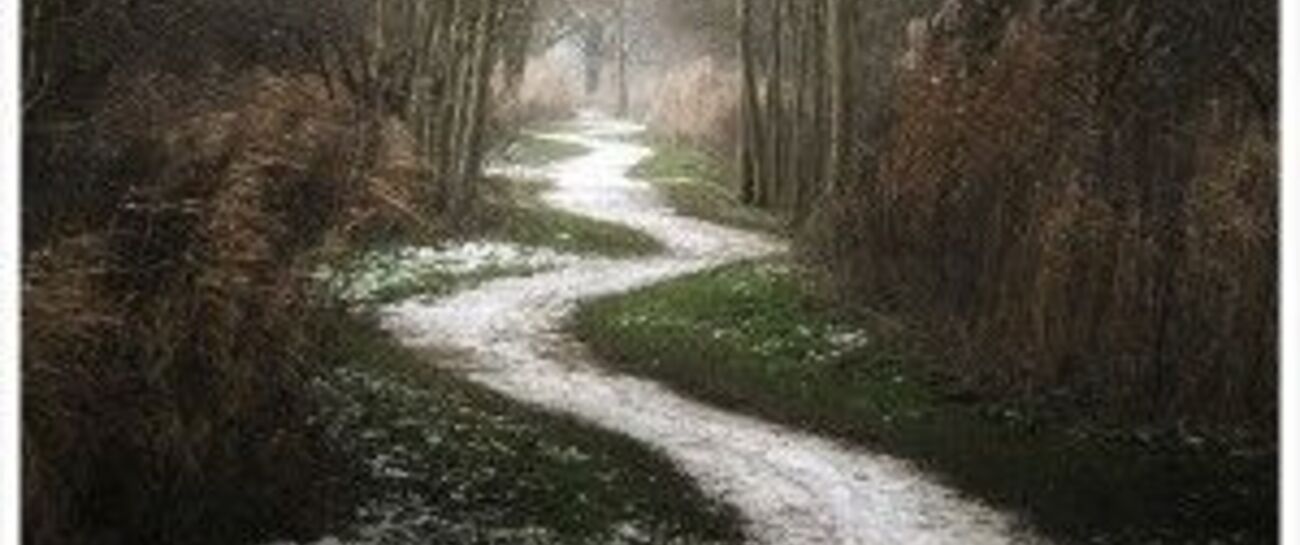 The Pathway