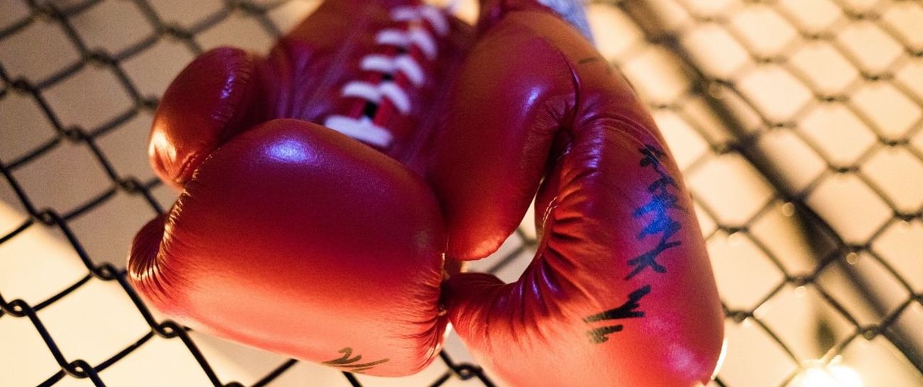 Boxer