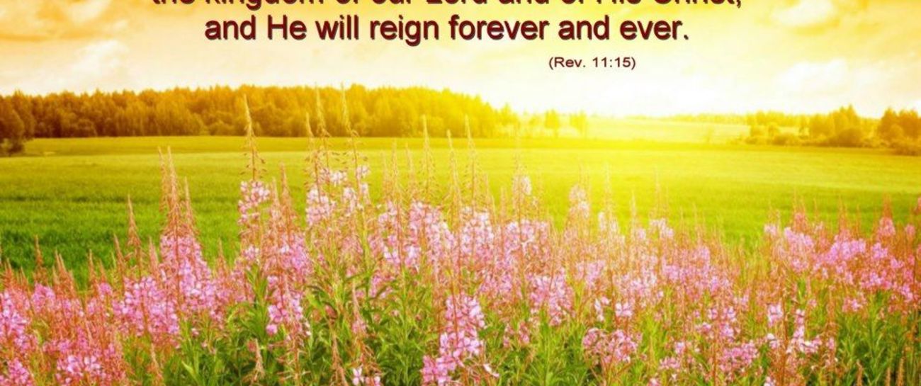 "If It Be For The Kingdom!"