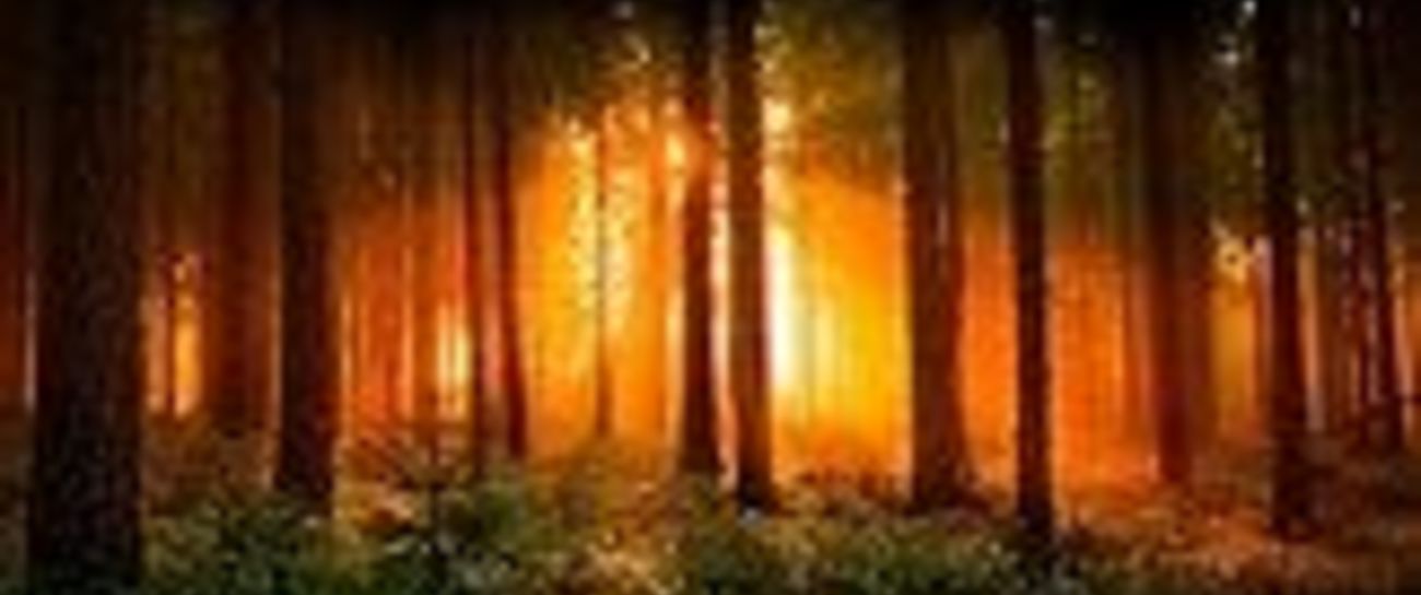 The Cloak Of Dawn