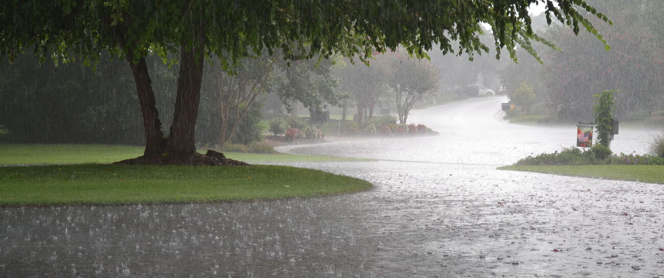 The Rain