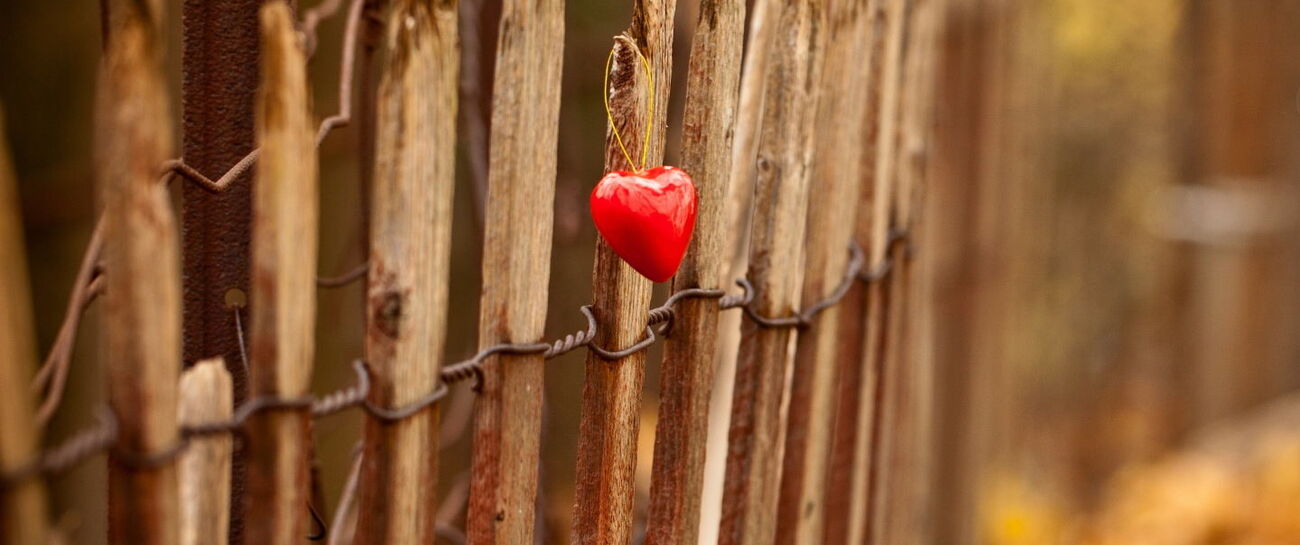 Lover's Lament
