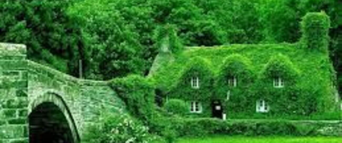 ~ So Ever Green ~