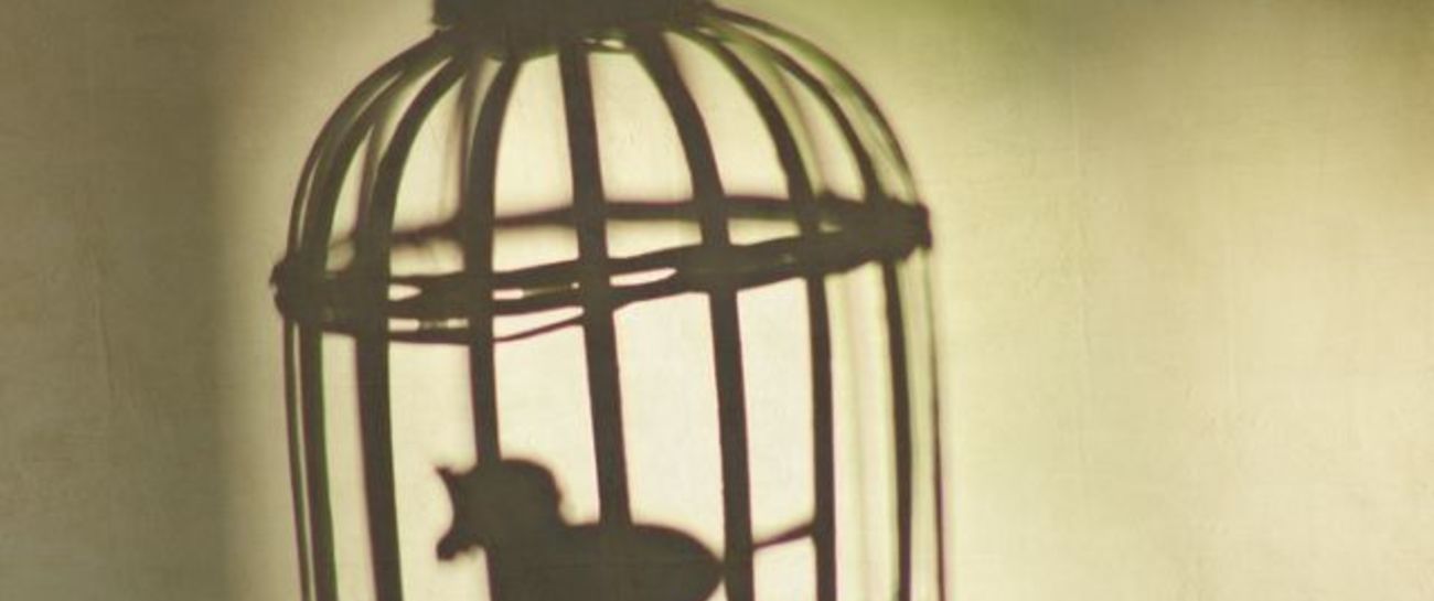 Why The Caged Bird Sings