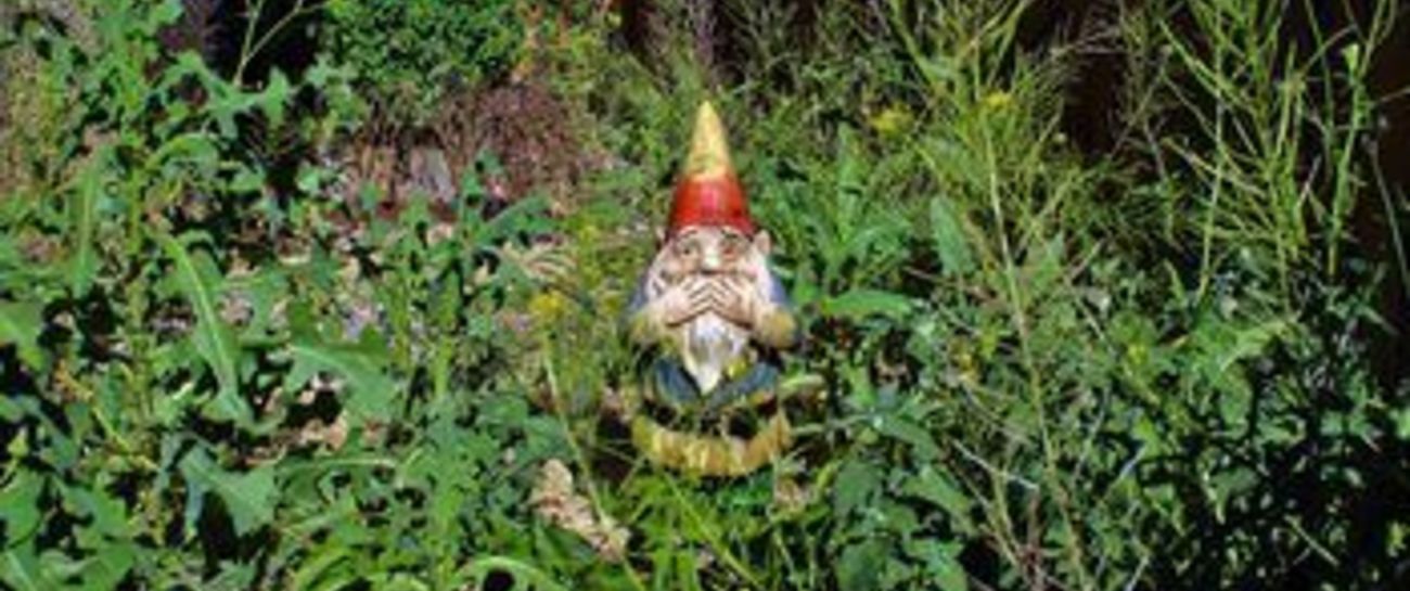 The Gardener