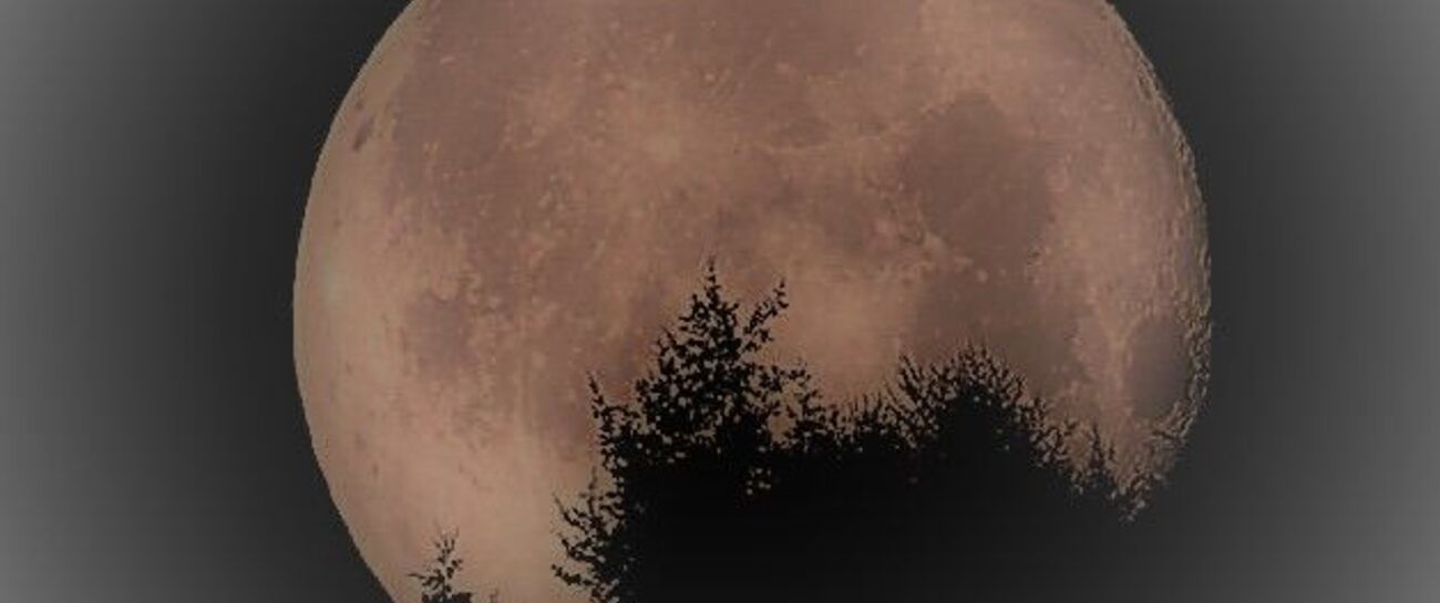 in that wakeful daze