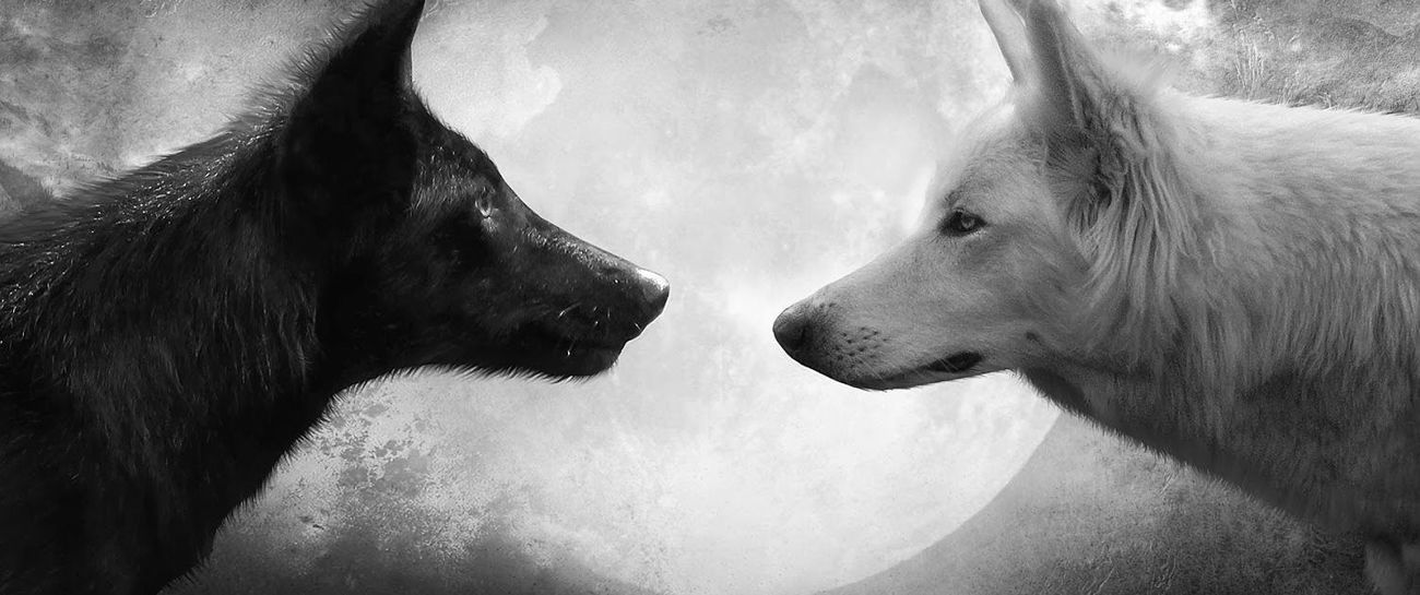 "Duality" by Ben Goode (c) 2017