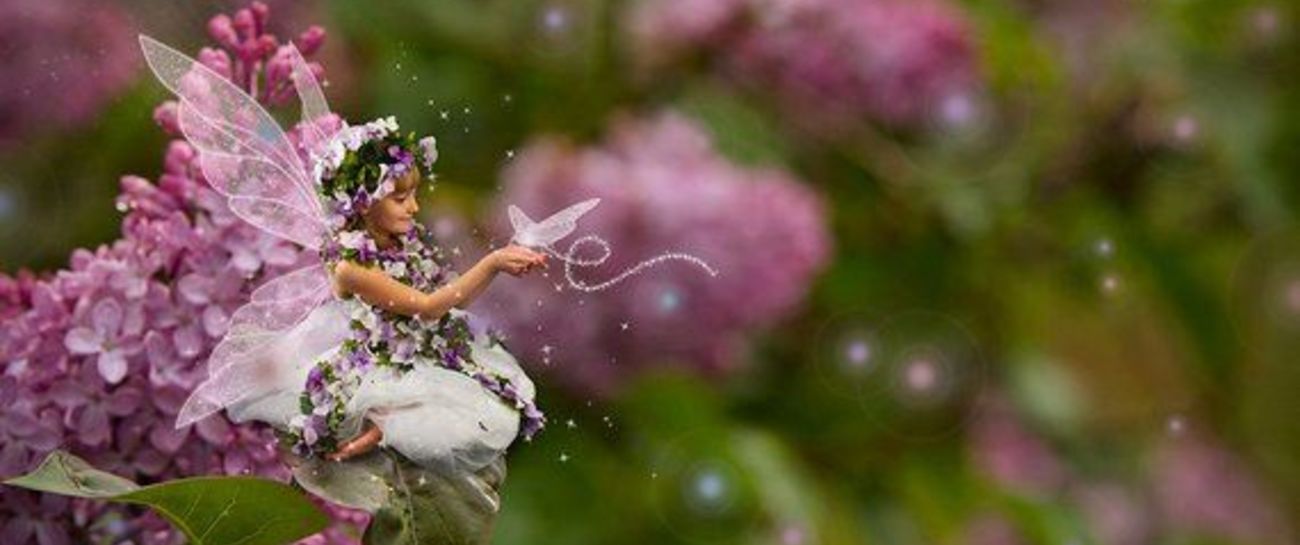 Lilacs