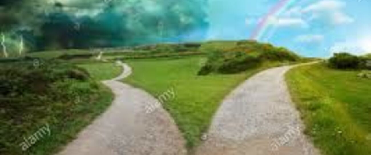 Pathway to Friendship