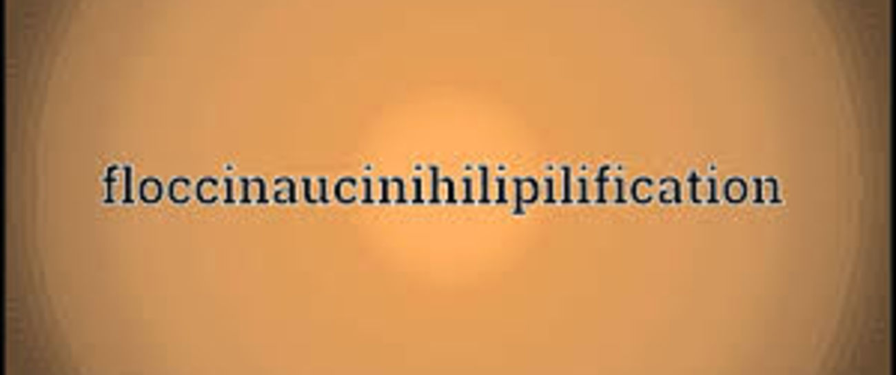 Rats! Mine Poetic Submissions Once Again Deemed Floccinaucinihilipilification