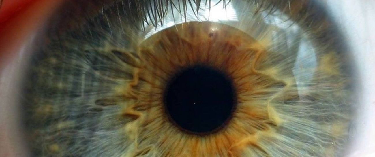 As Far As The Eyes Can Go