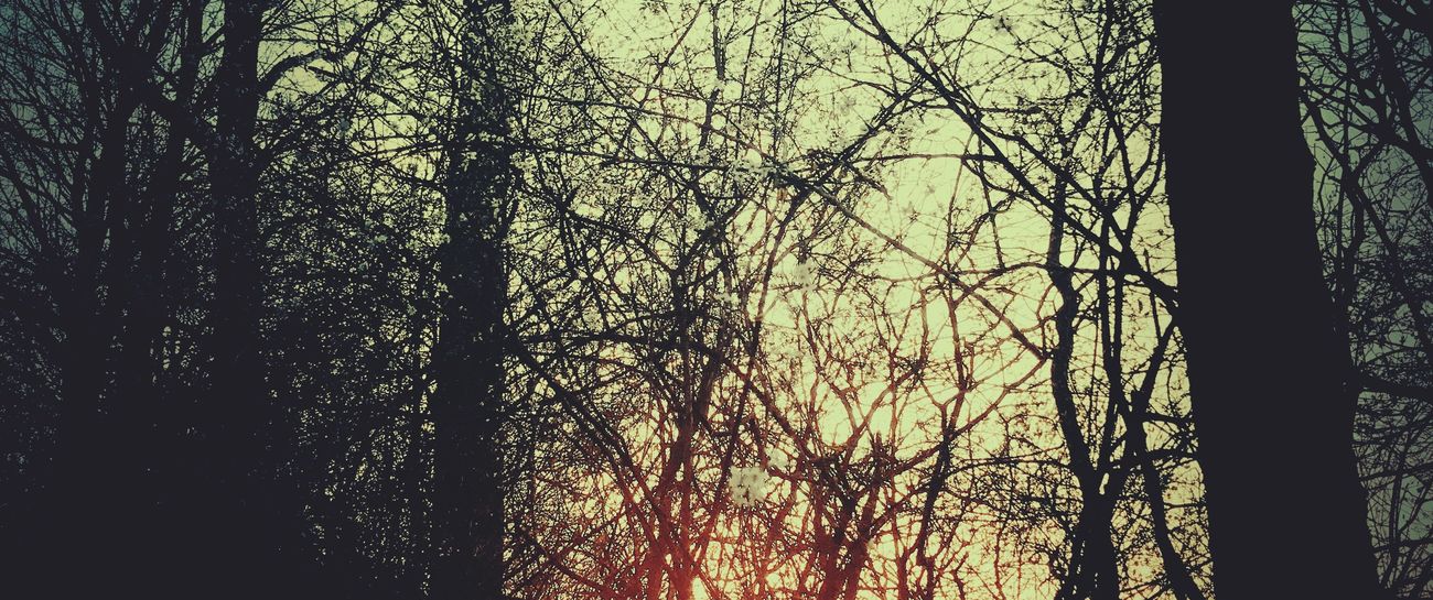 Fragments