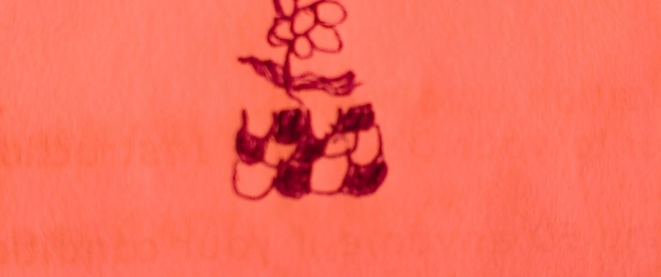 Pink Twenty 2