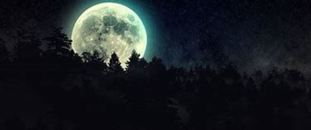 ~Moonlight~