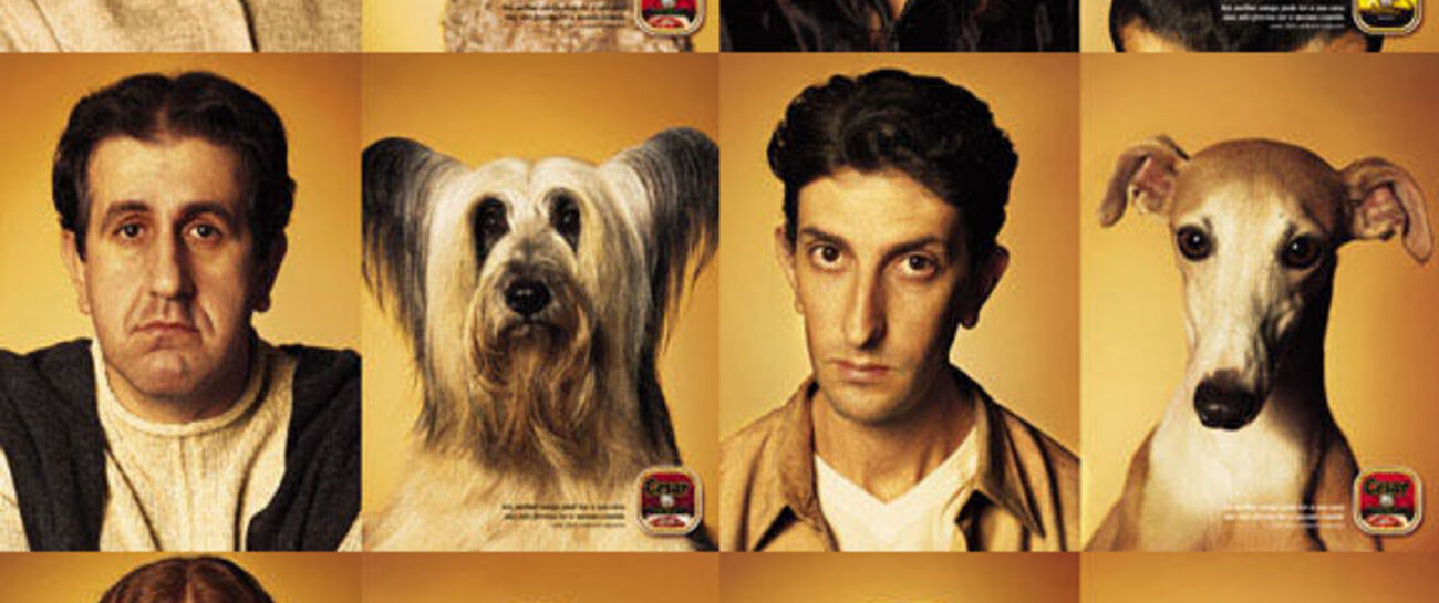 People & their Pooches🐶👨🏻🦰