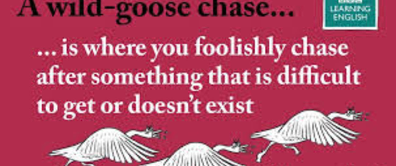 Wild goose chase