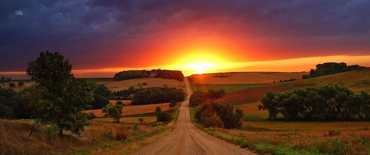~The Poet's Pen & The Arrival Of Morning~