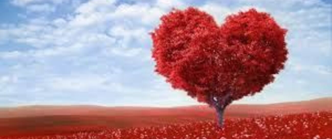 Fall in love