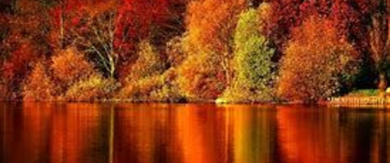The Fall