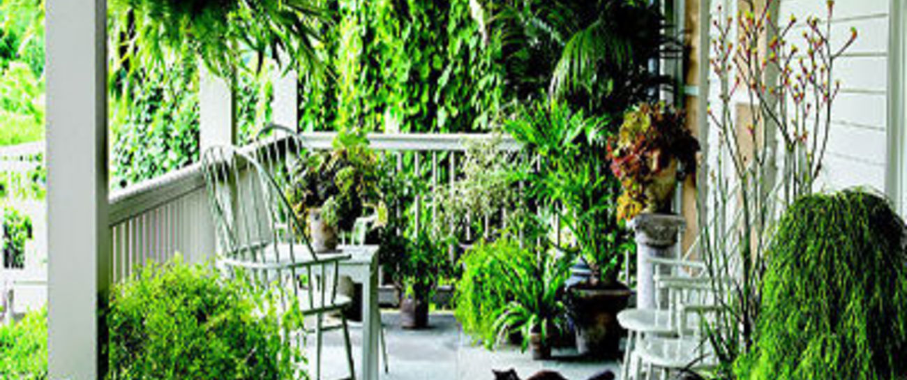 Plants