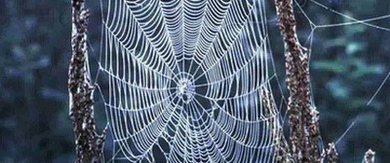 September Spiders