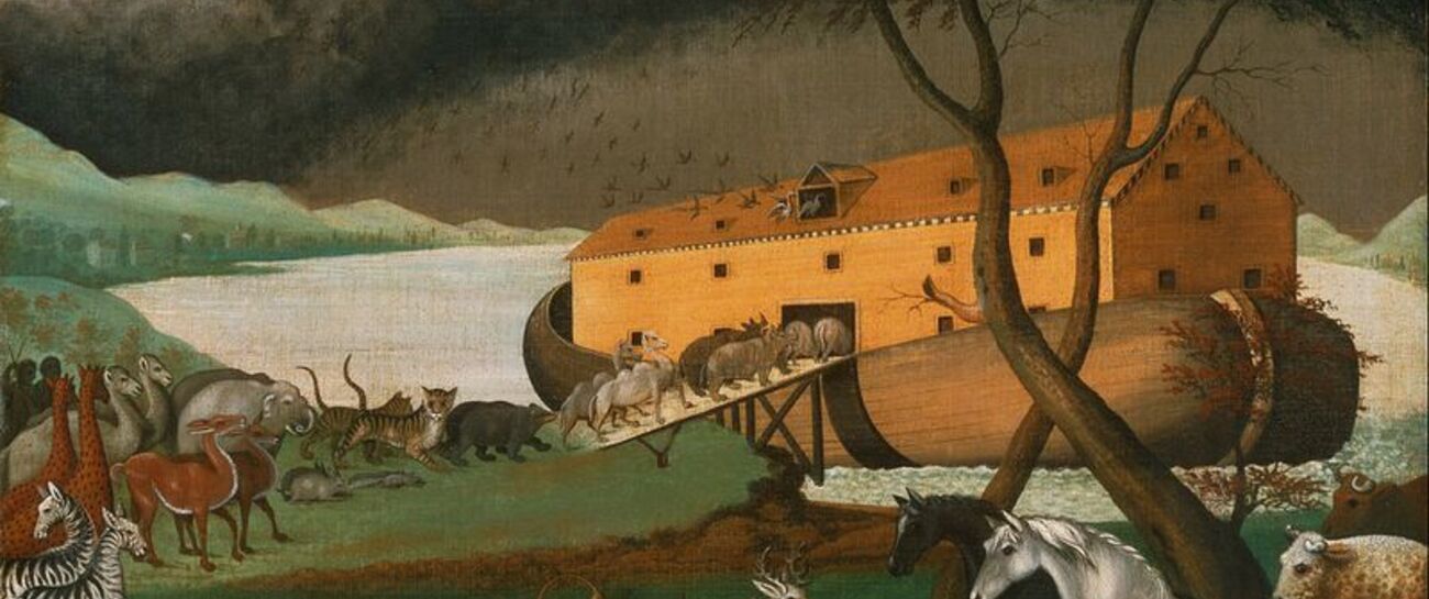 Noah’s Arc