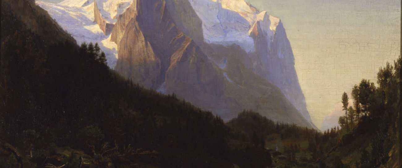 ~ MOUNTAIN ~