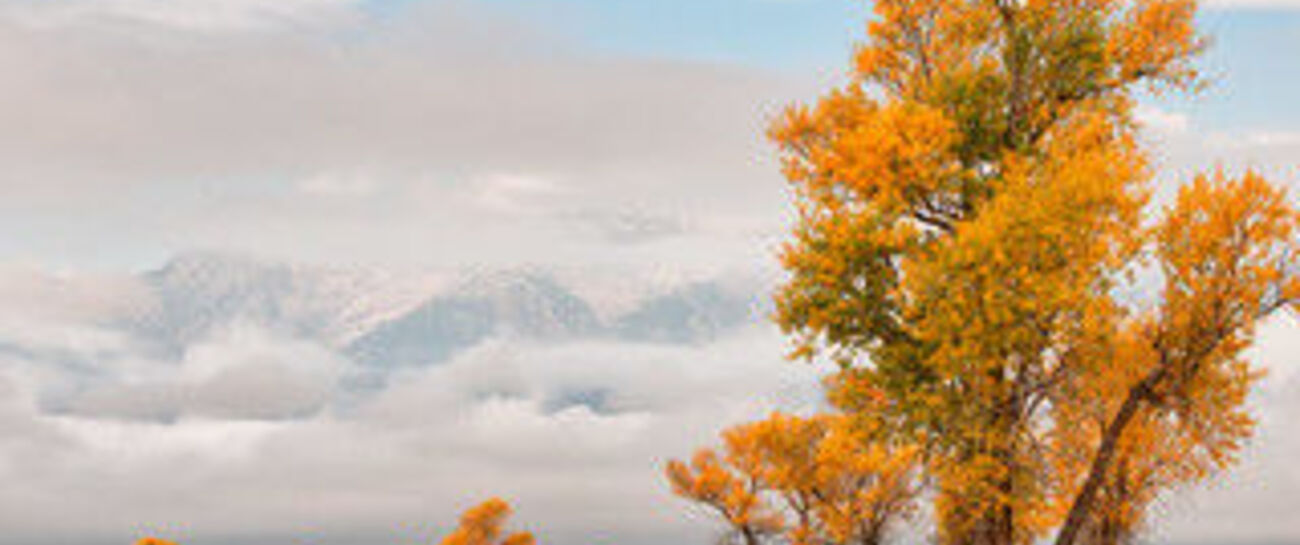 Ode To The Beauty Of Fall
