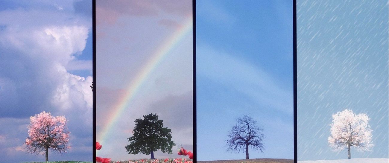 The 4 seasons