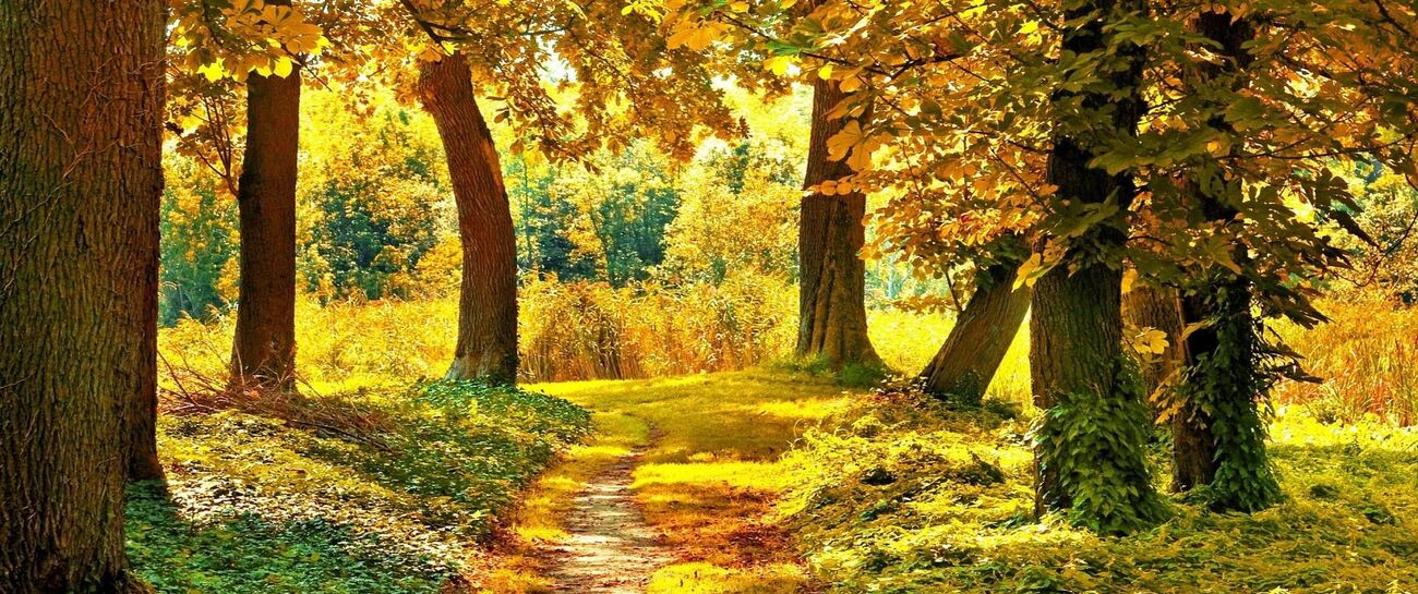 Autumns first breath