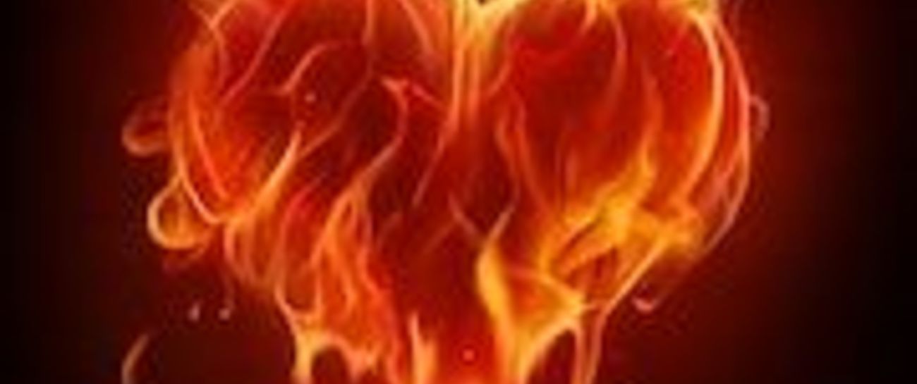 FLAMES OF RAGE