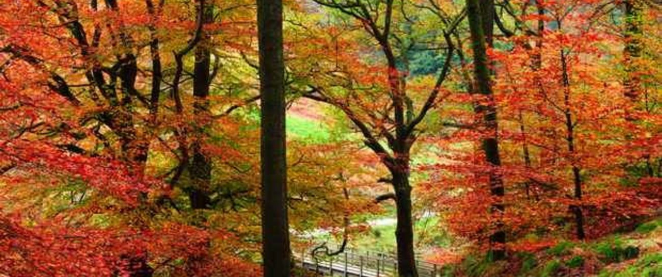 Autumn is definitely back!!