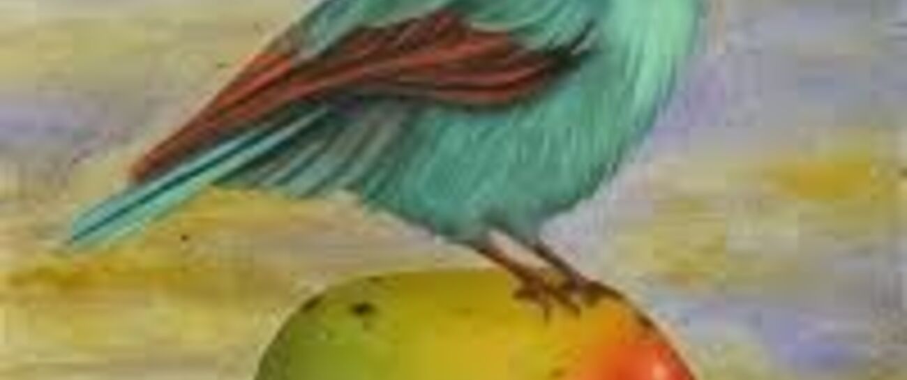 Mango