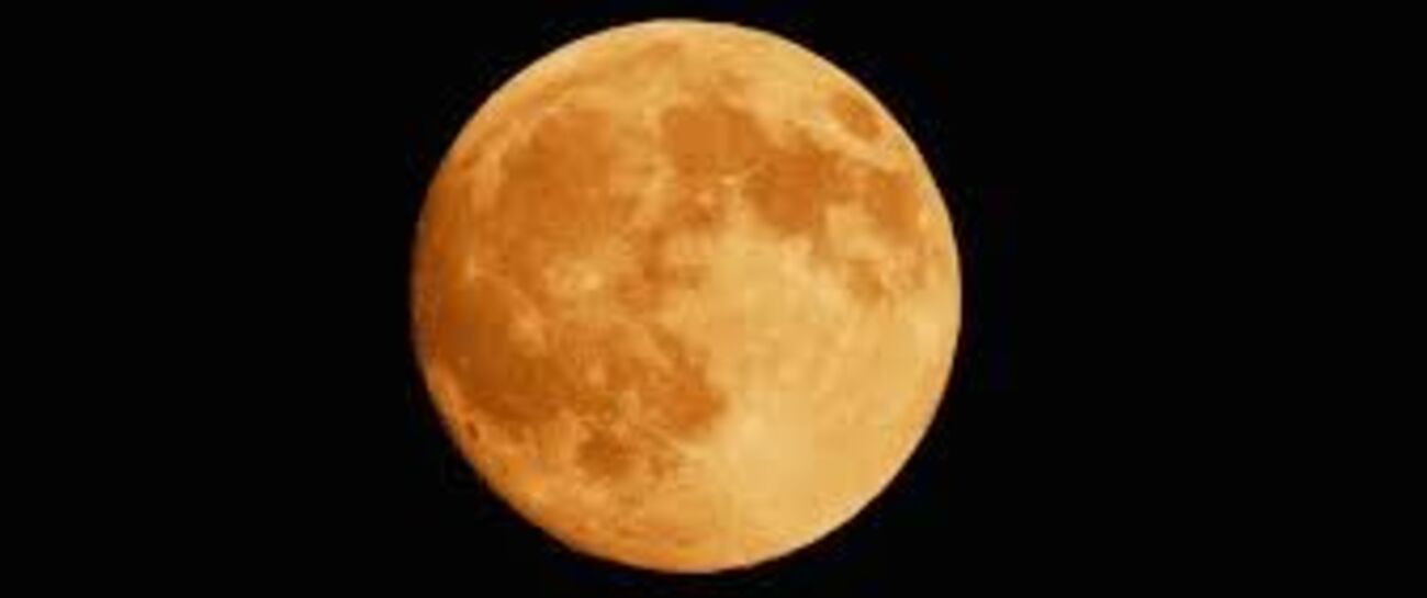Harvest Moon Harvest Moon