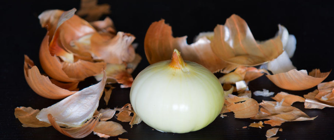 The Onion of my life 🤣
