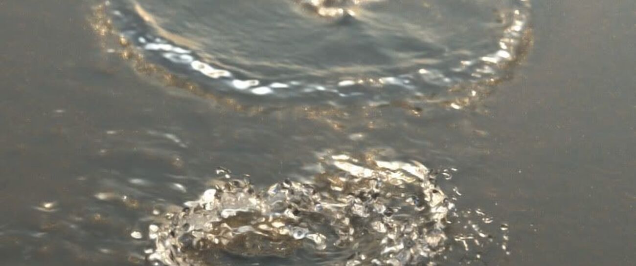Down by the river