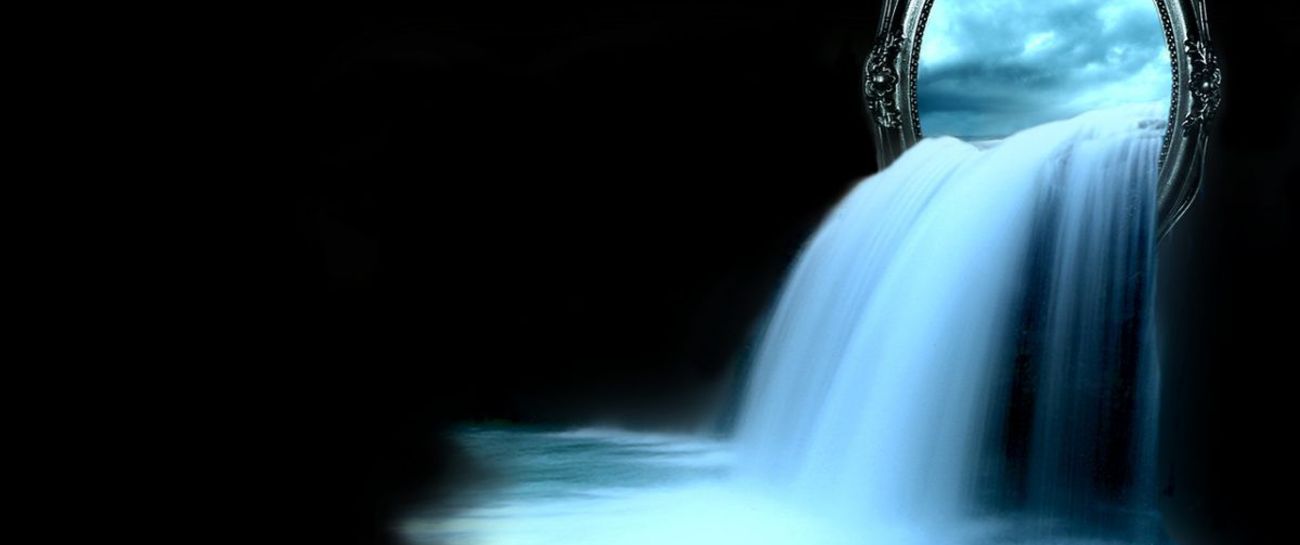 LIFE THROUGH TIME REFLECTED