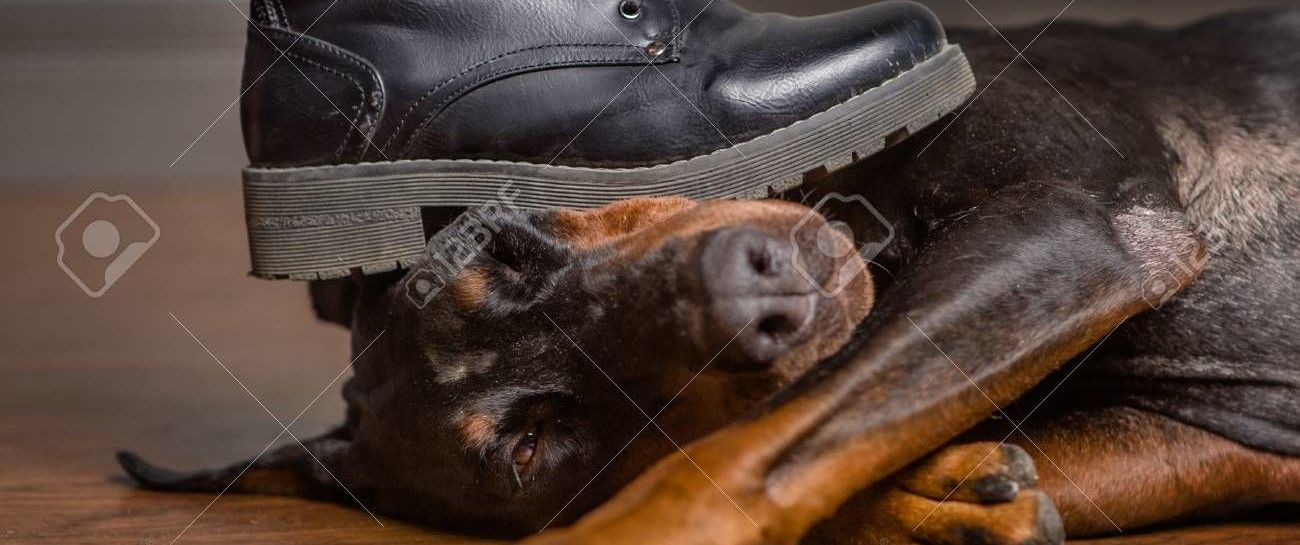UNDER YOUR FEET