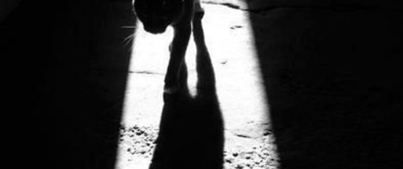 Shadows of the night:)