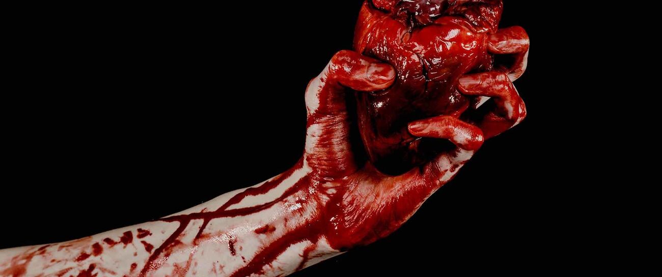 Carnivore