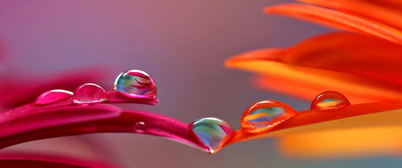 ~ On Beauty & The Light ~