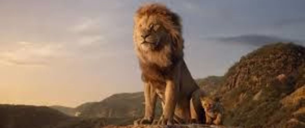 Lion 'bout grabbing tiger by tail